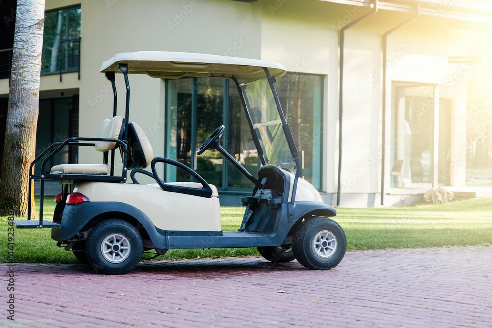 Voiture de golf electrique ZELEC