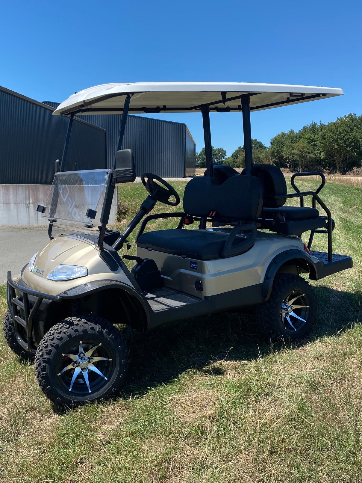 voiture de golf tout terrain ZELEC GolfCar