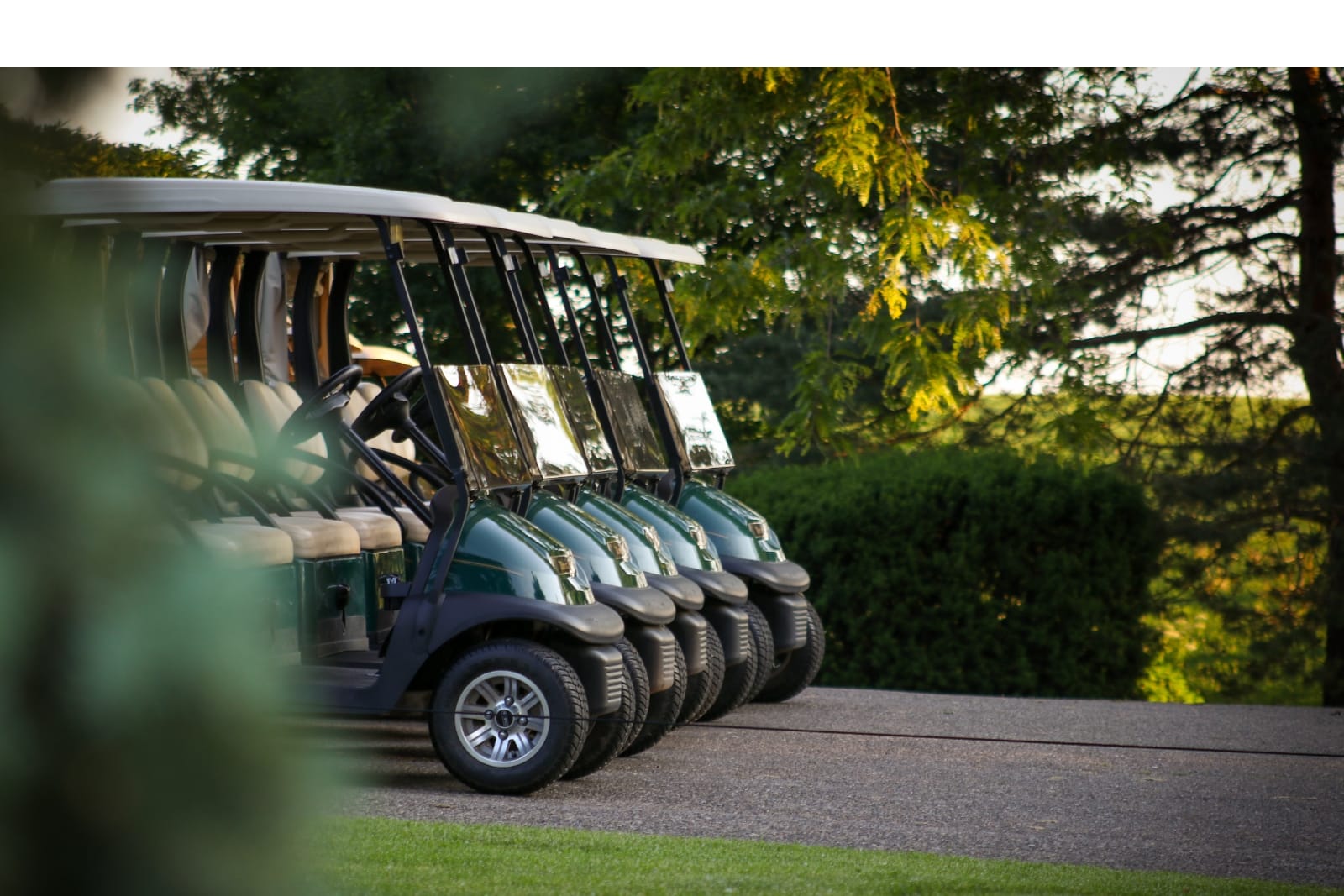 voiturette de golf électrique ZELEC