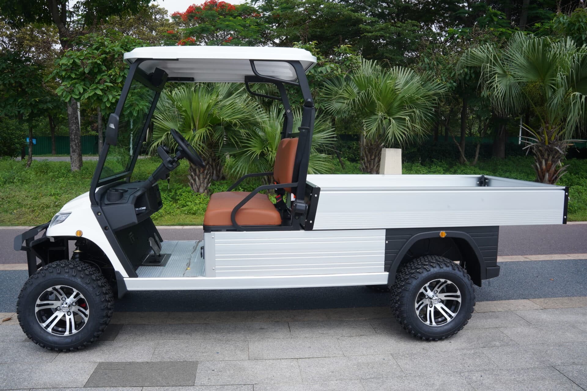 Voiturette electrique surélevée avec batterie lithium